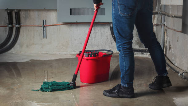 Best Flooded house restoration  in Falls Creek, PA