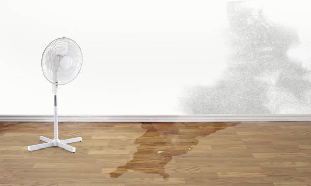 Best Commercial water damage restoration  in Falls Creek, PA