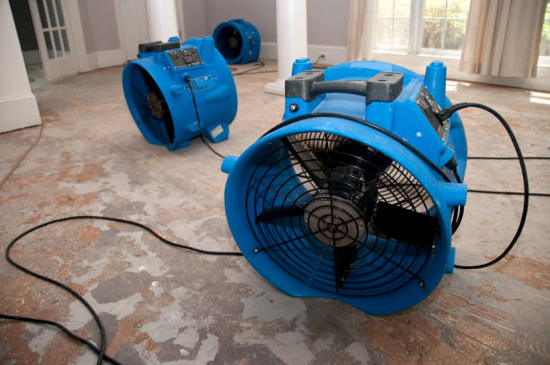 Best 24-hour water damage restoration  in Falls Creek, PA